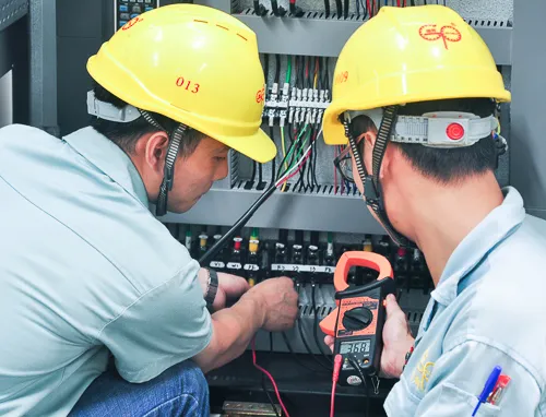 Local Subsidiaries & Partners